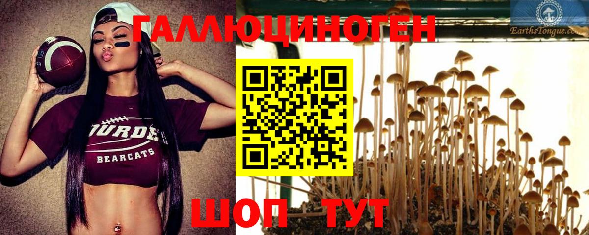 купить наркотики сайты  Галлюциногенные грибы ЛСД  Вход с VPN  Тайшет 